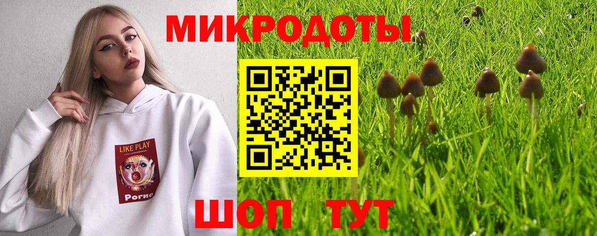 Новый Уренгой  Псилоцибиновые грибы мицелий  Вход с VPN 