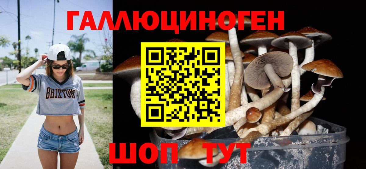 Codein Новый Уренгой